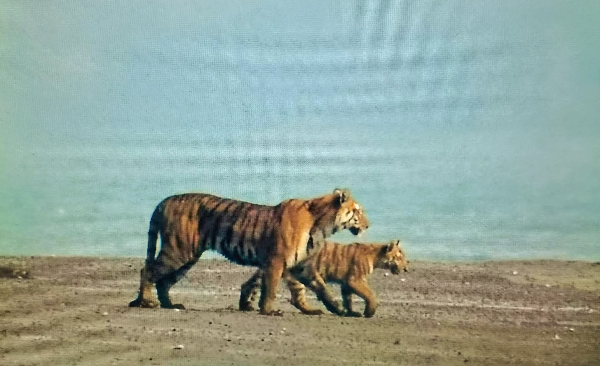 images/WhatsApp Image 2025-12-02 at 7.40.06 PM (1).jpeg